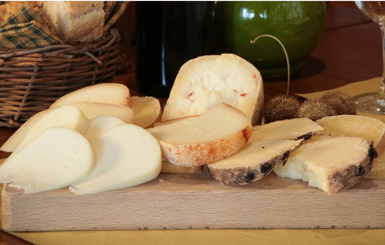 Visita guidata: Arezzo e il pecorino Visita guidata: Arezzo e il pecorino